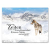 Tableau sur toile Animaux, format paysage, loup dans les montagnes M0187