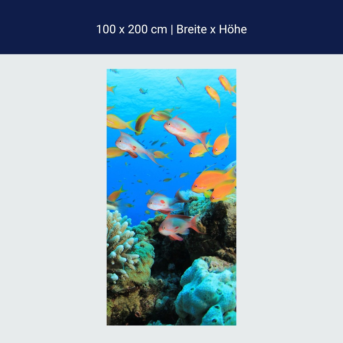 Paroi de douche Reef Life Underwater M0196