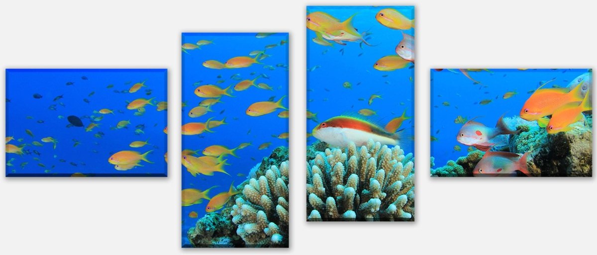 Tableau sur toile Reef Life Underwater M0196