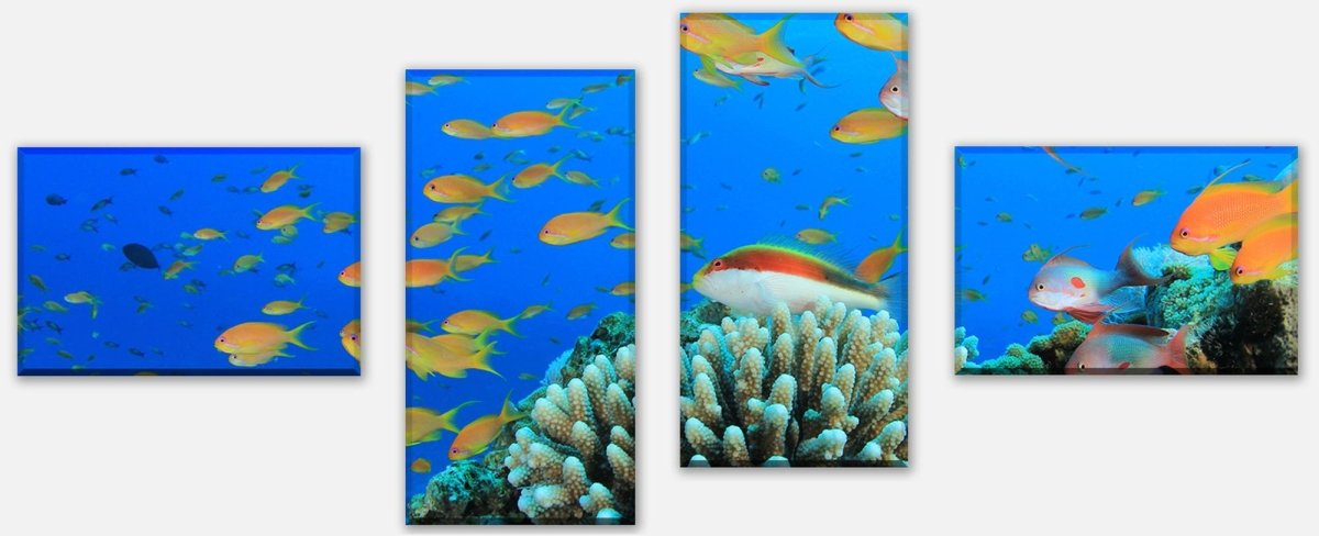 Tableau sur toile Reef Life Underwater M0196
