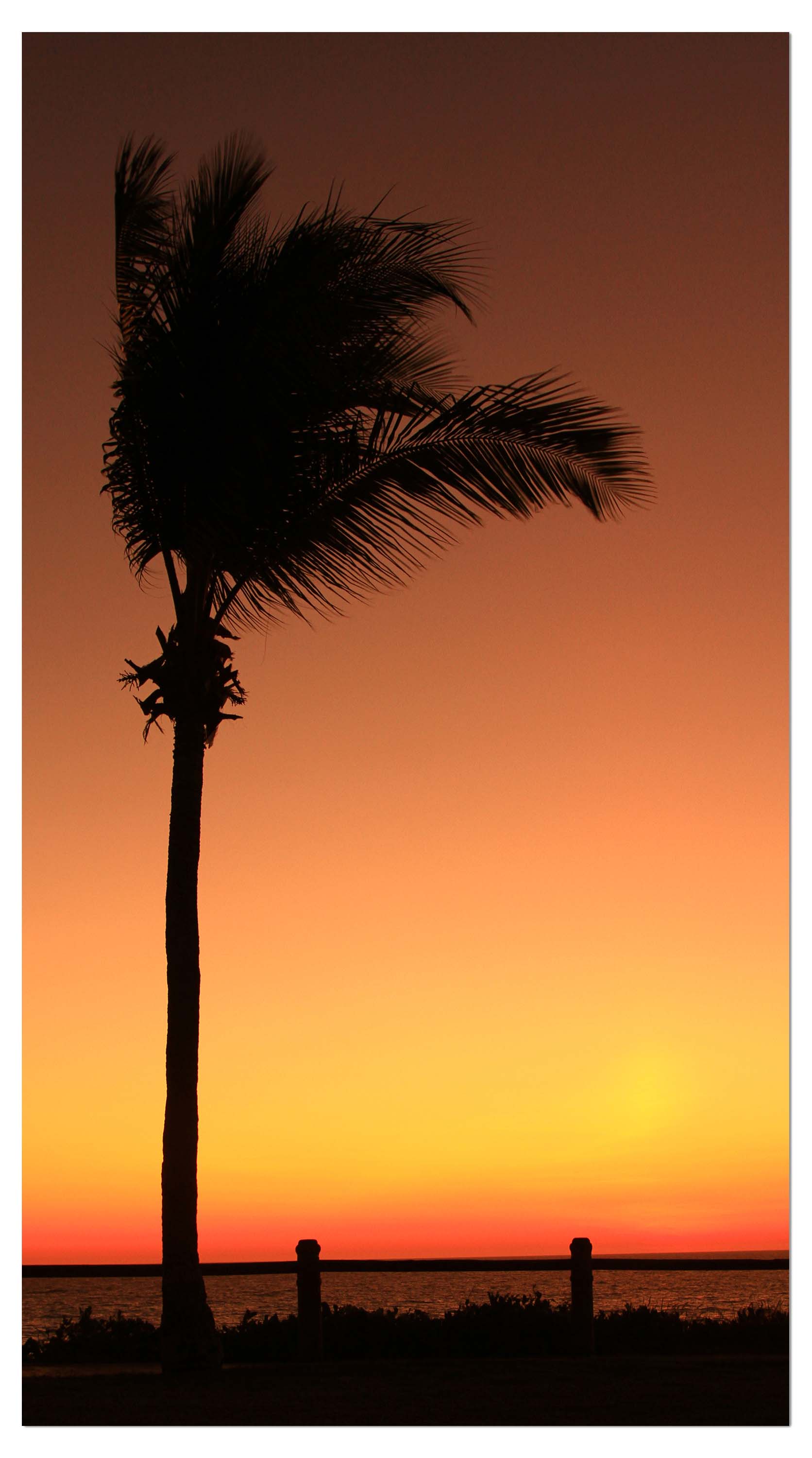Garderobe Broome Sunset 2 Natur M0208 entdecken - Bild 4