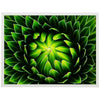 Poster Pflanze, Kaktus, grün M0217