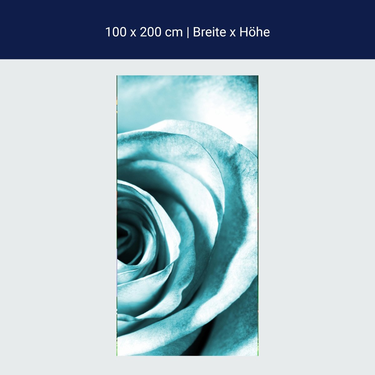 Papier Peint de Porte Fleur de Rose Bleue M0227