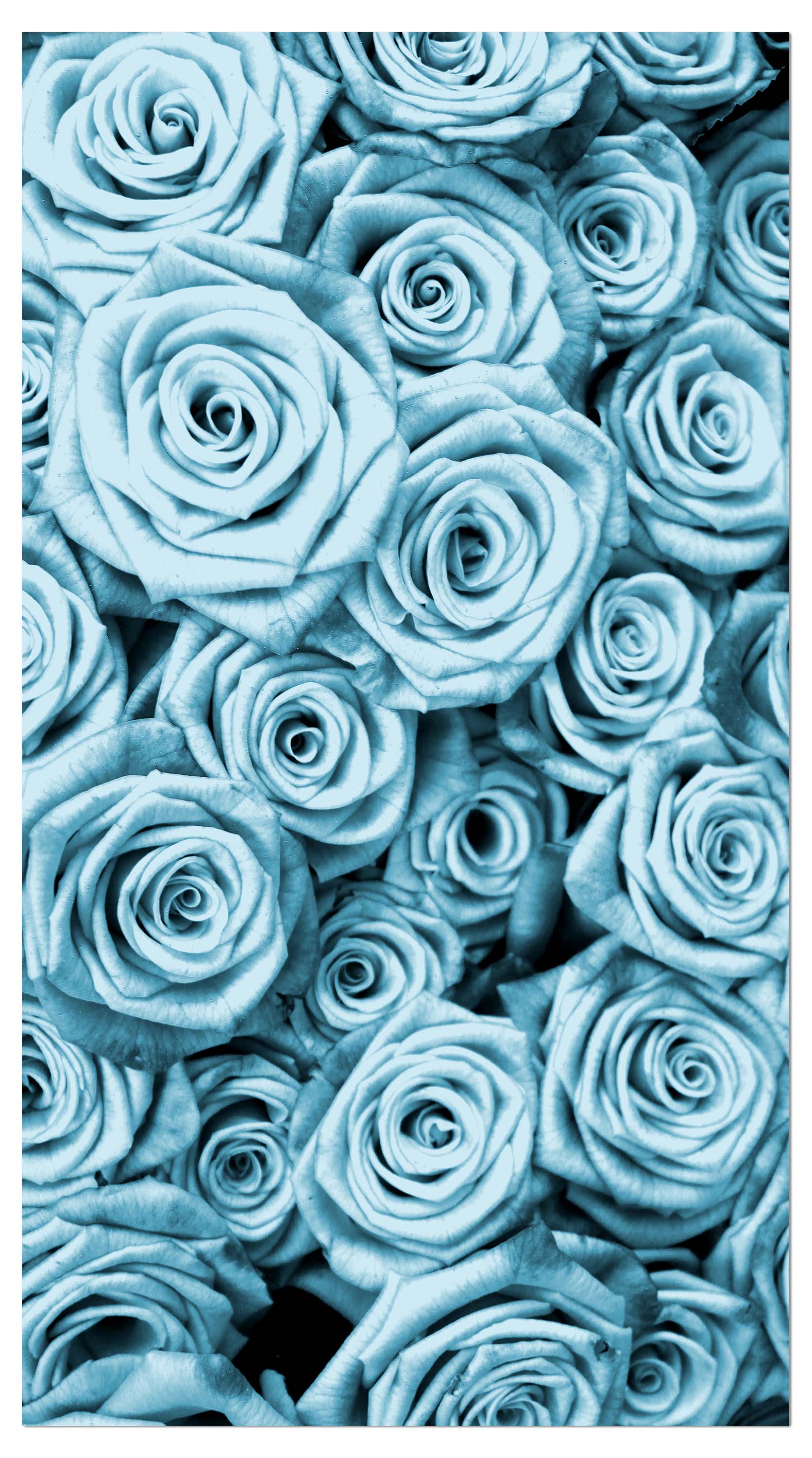 Garderobe Blaues Rosenfeld Blüte M0228 entdecken - Bild 4