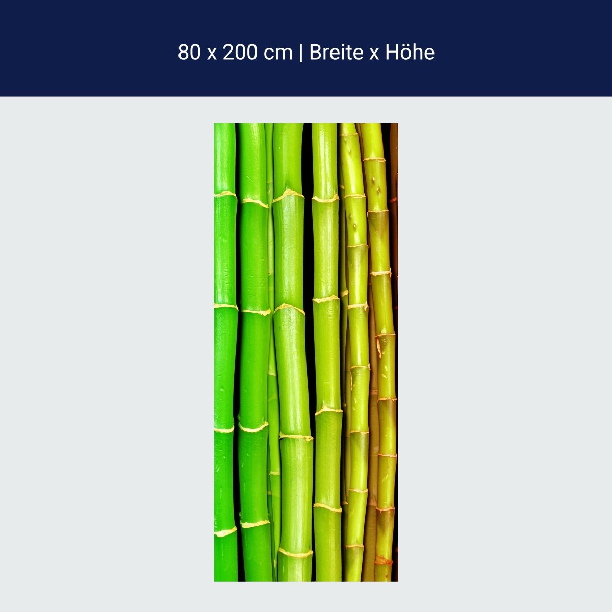 Shower screen colorful bamboo Asia M0229