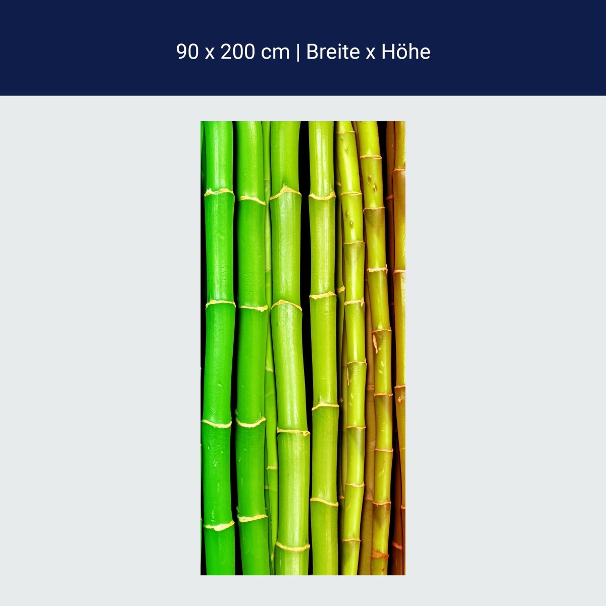 Shower screen colorful bamboo Asia M0229