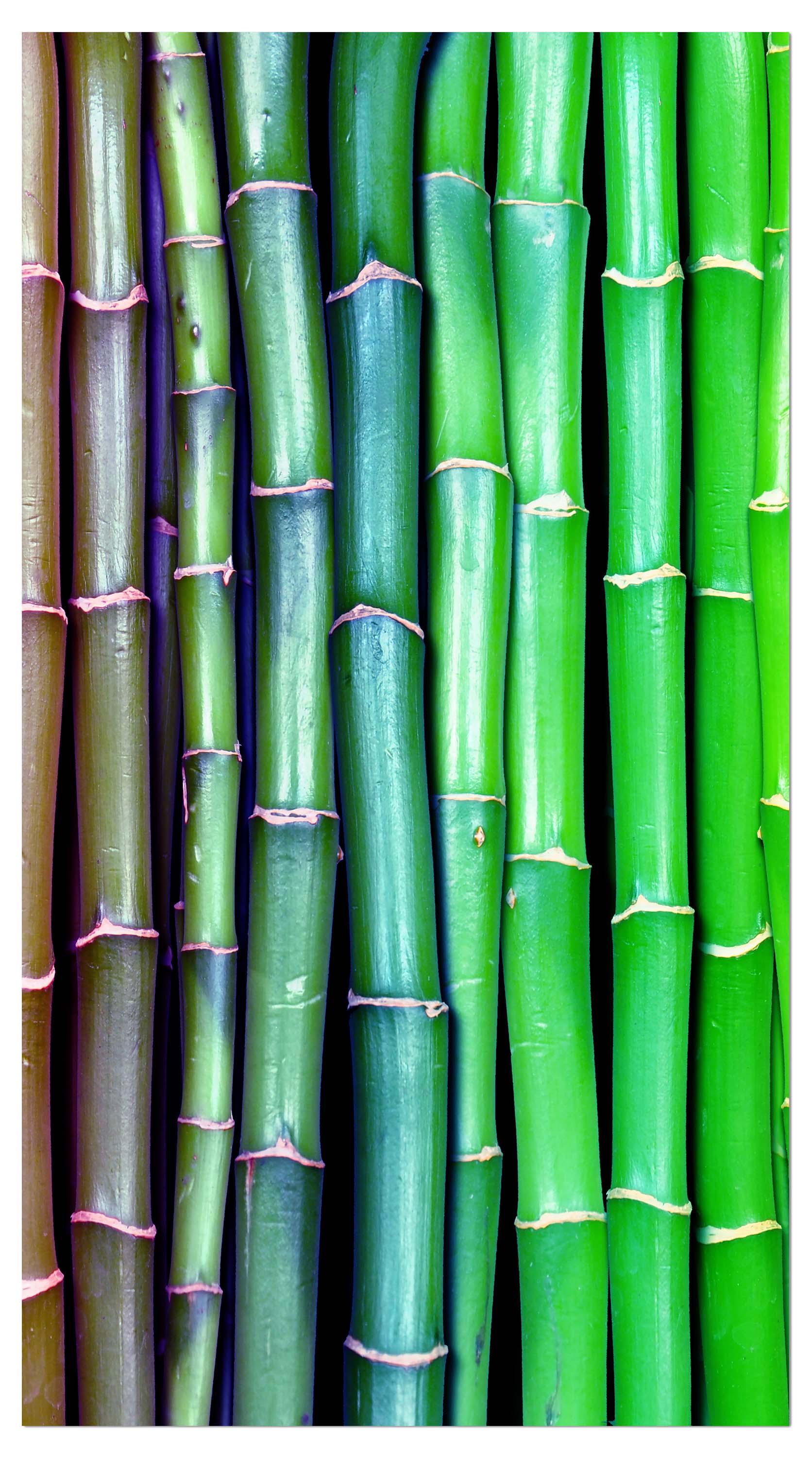 Garderobe bunter Bambus Asien M0229 entdecken - Bild 4