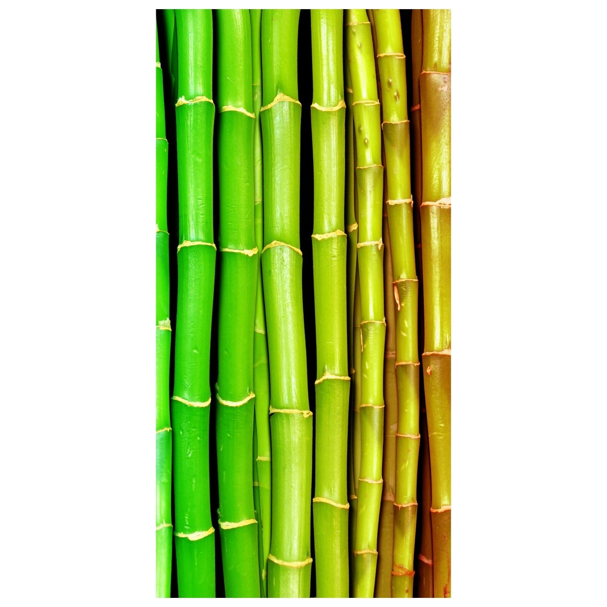 Türtapete bunter Bambus Asien M0229 - Bild 2