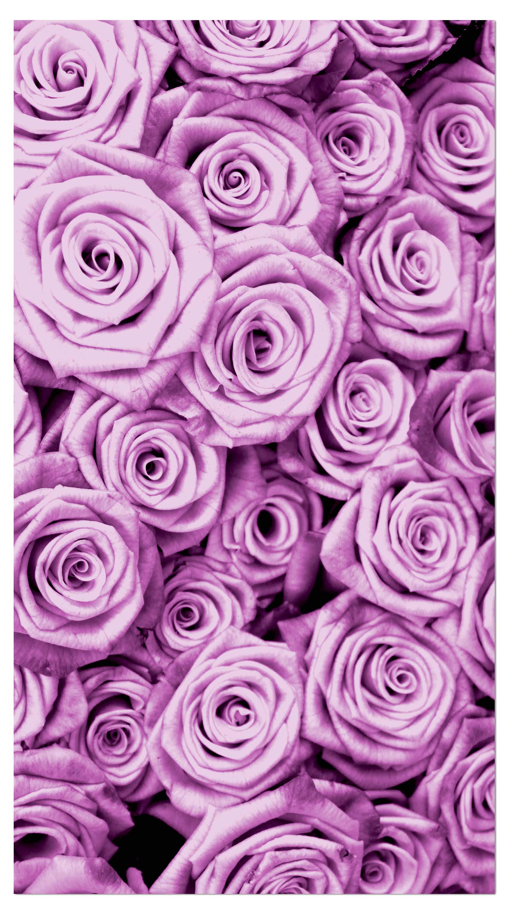Garderobe violettes Rosenfeld Blüte M0232 entdecken - Bild 4