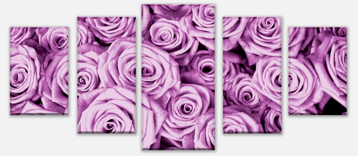Leinwandbild Mehrteiler violettes Rosenfeld Blüte M0232 entdecken - Bild 1