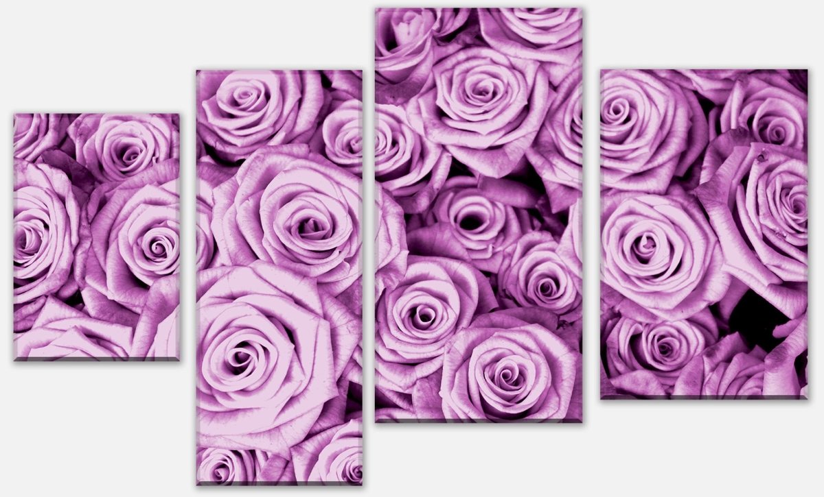 Leinwandbild Mehrteiler violettes Rosenfeld Blüte M0232