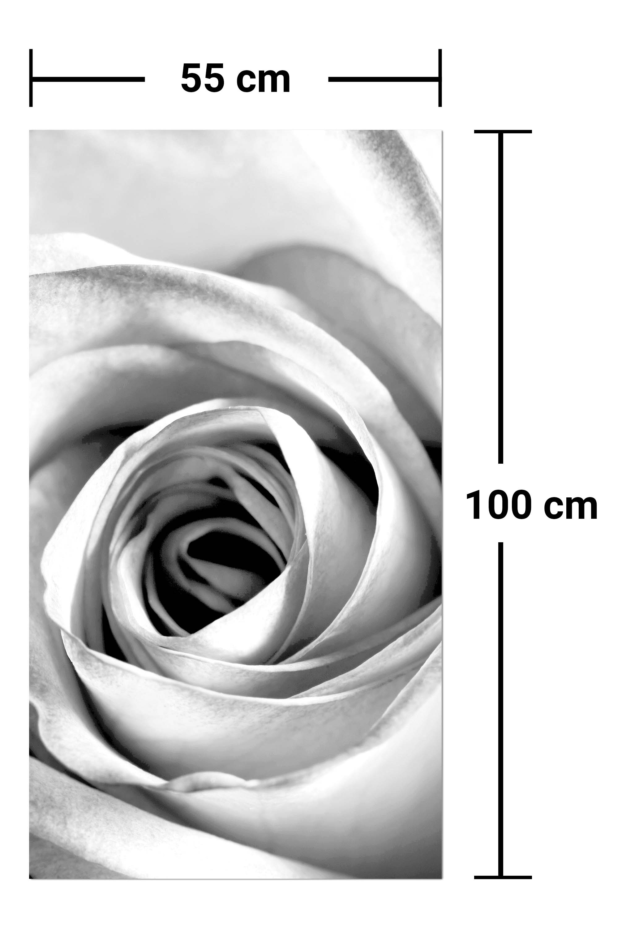 Garderobe weiße Rose Blüte M0233 entdecken - Bild 7