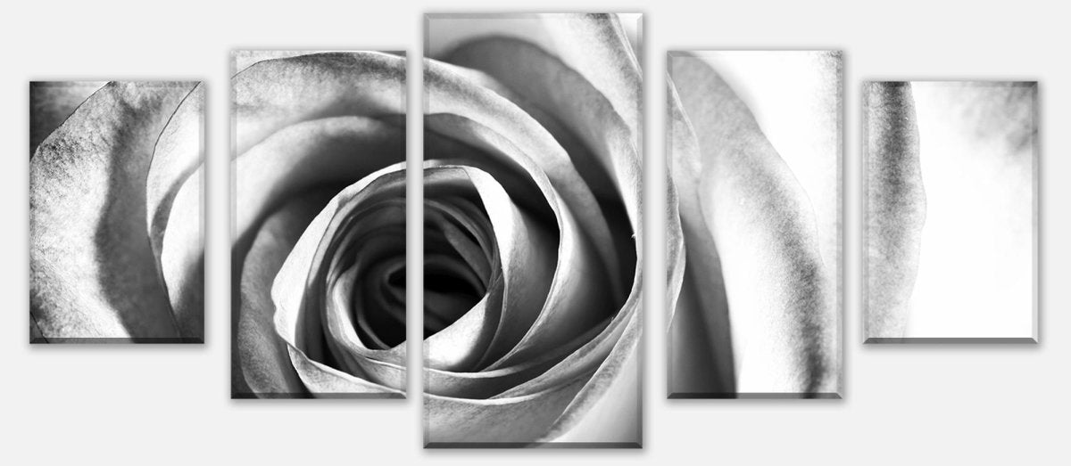 Leinwandbild Mehrteiler weiße Rose Blüte M0233 entdecken - Bild 1