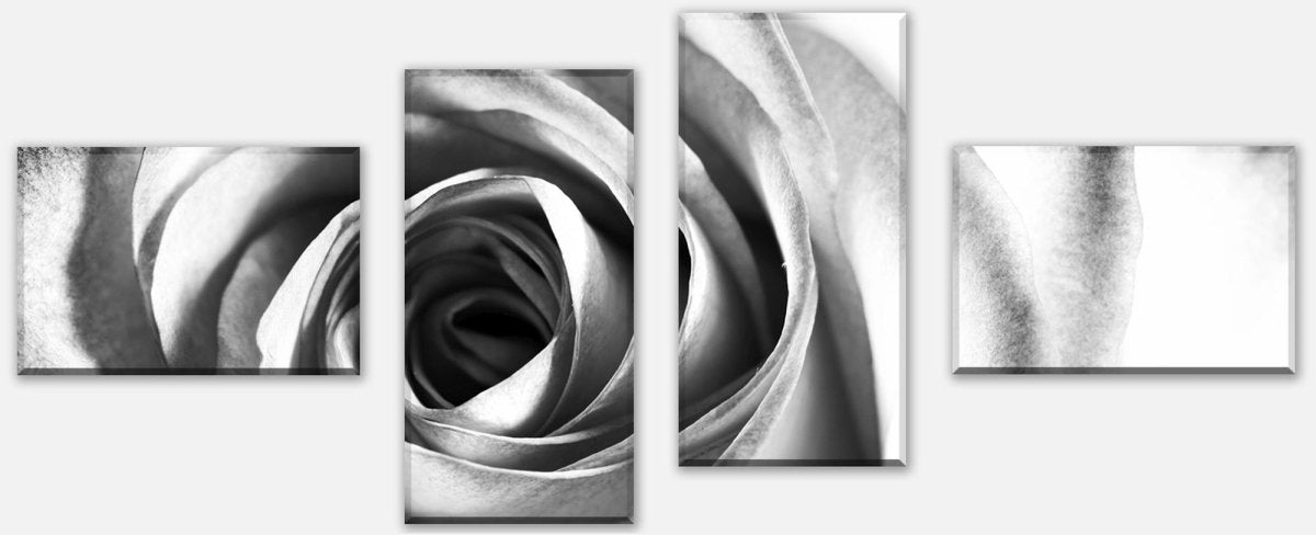 Leinwandbild Mehrteiler weiße Rose Blüte M0233