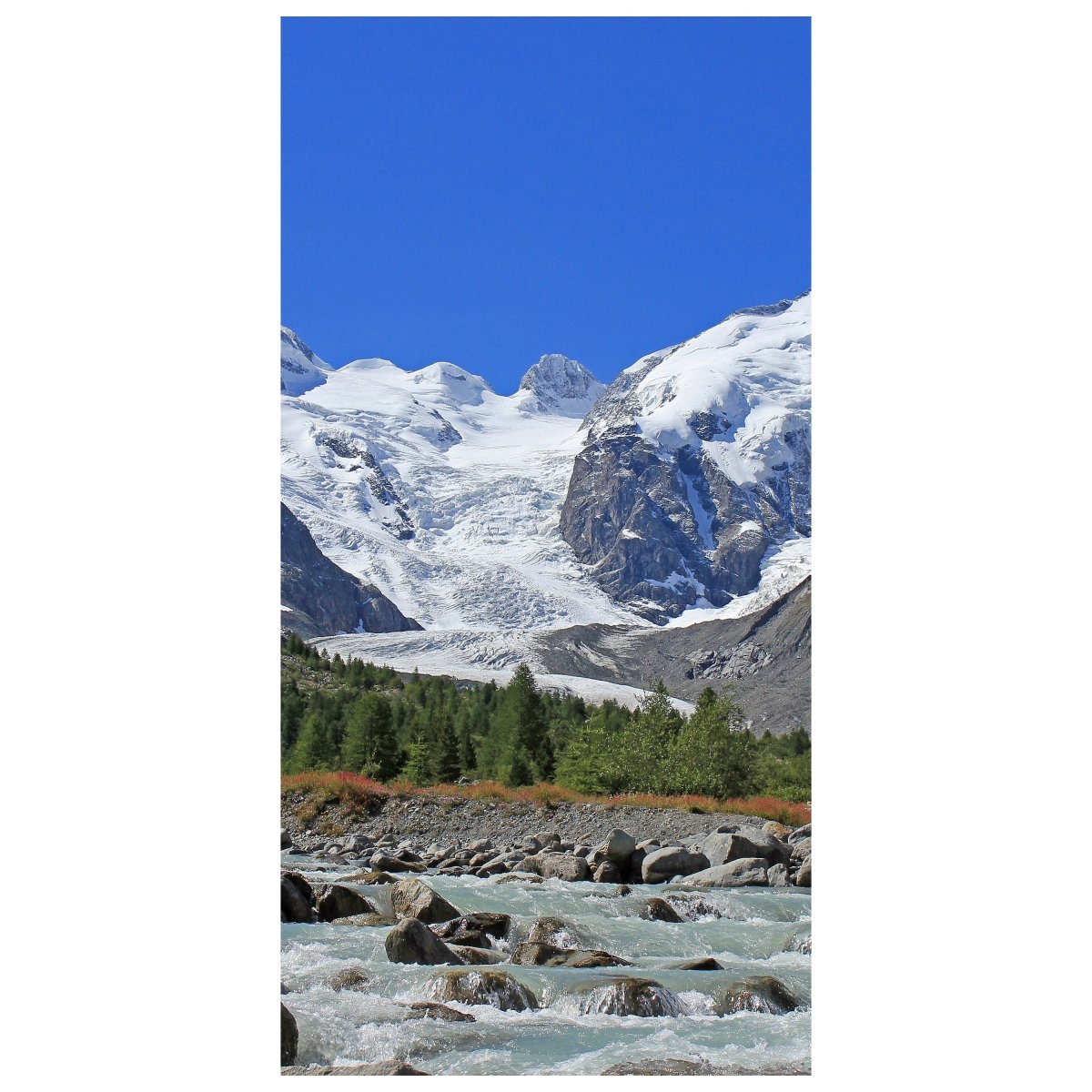 Türtapete Morteratsch Gletscher Alpen M0236 - Bild 2
