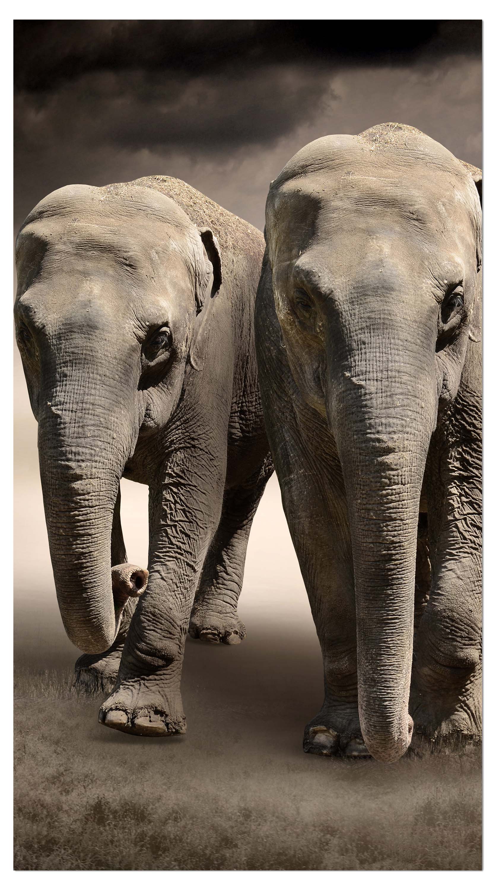 Garderobe Elefantentraum Afrika M0244 entdecken - Bild 4