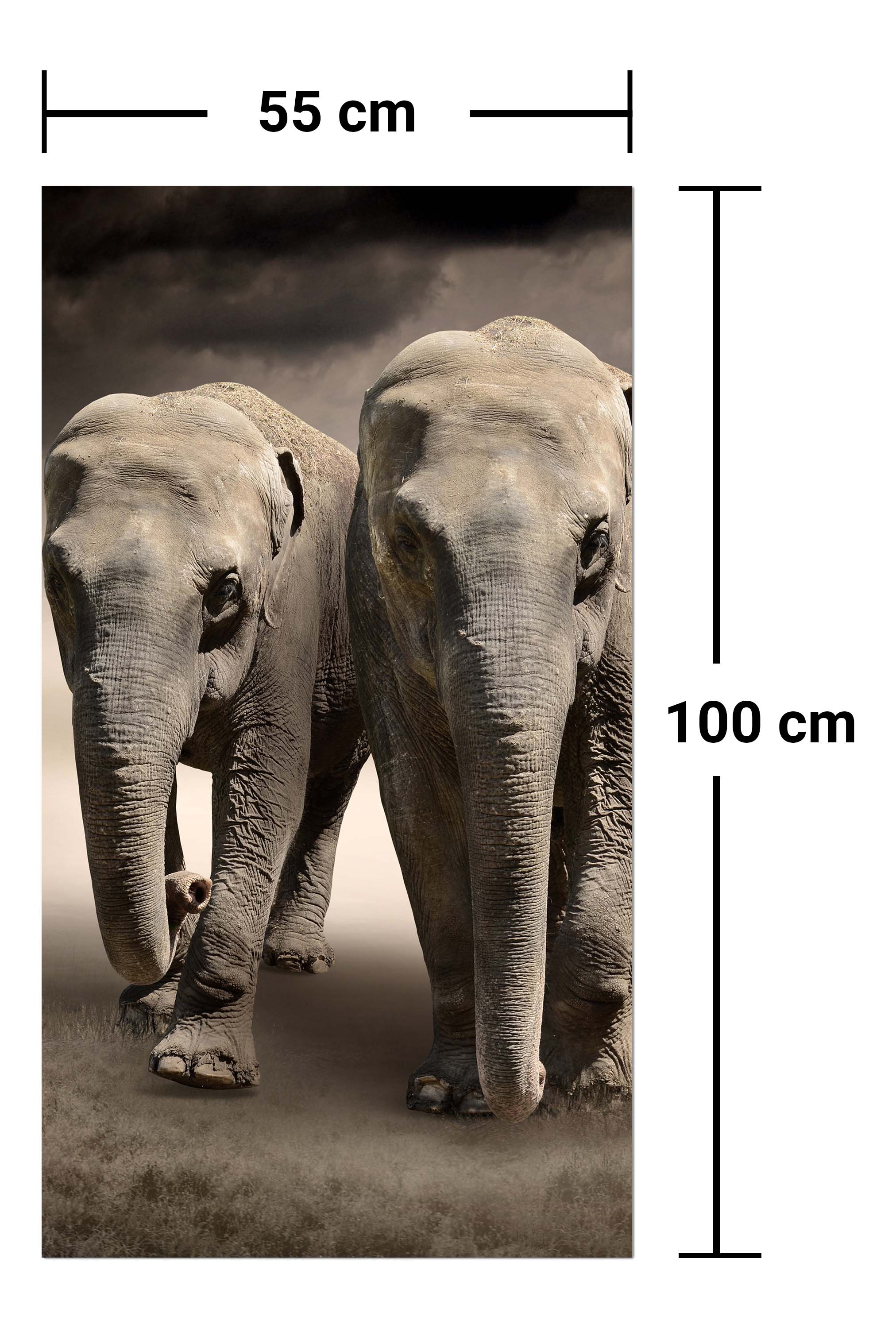 Garderobe Elefantentraum Afrika M0244 entdecken - Bild 7