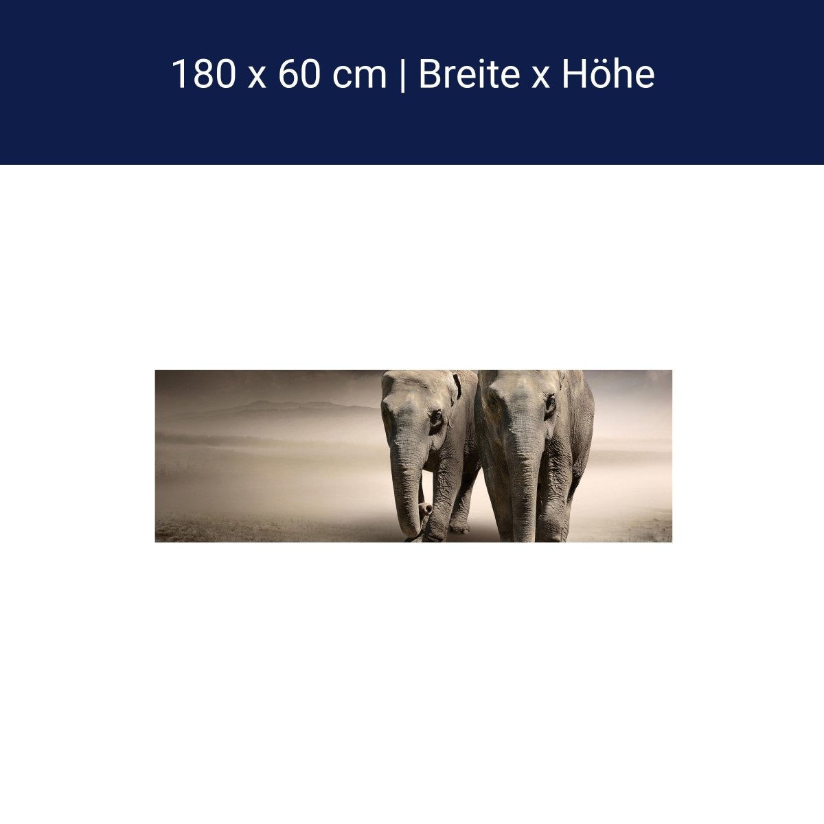 Küchenrückwand Elefantentraum Afrika M0244