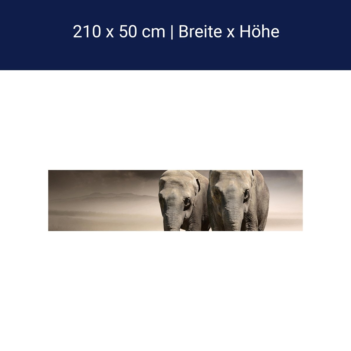 Mur de fond de cuisine elephant dream Africa M0244