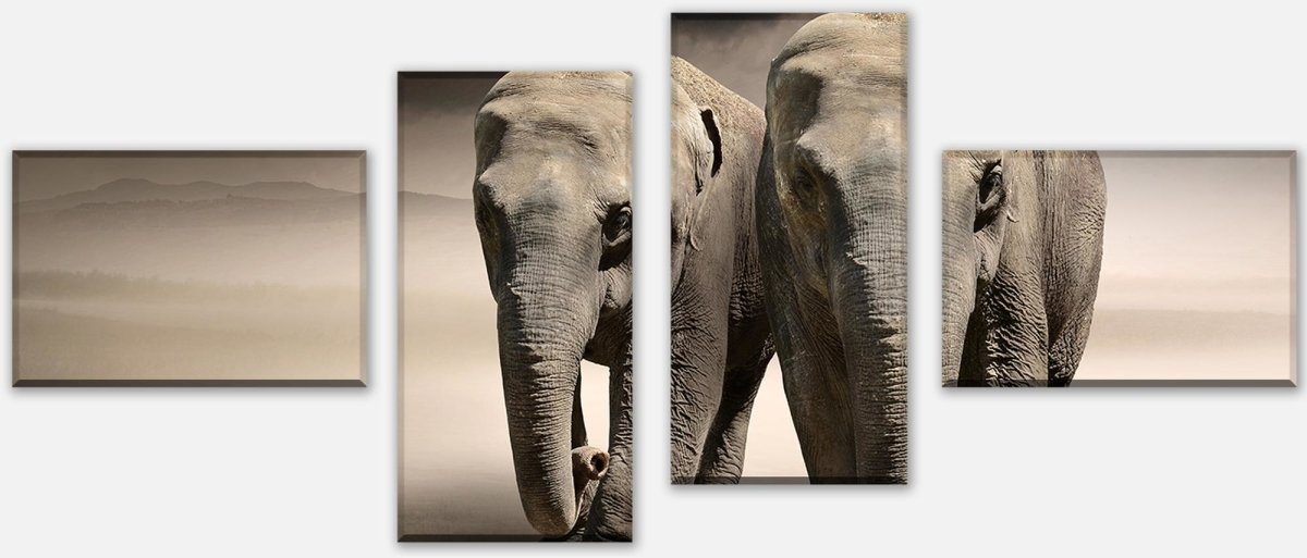 Tableau sur toile Diviseur elephant dream Africa M0244