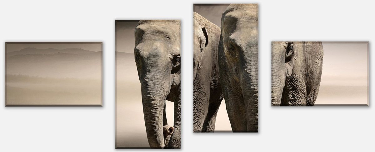 Canvas print Divider elephant dream Africa M0244