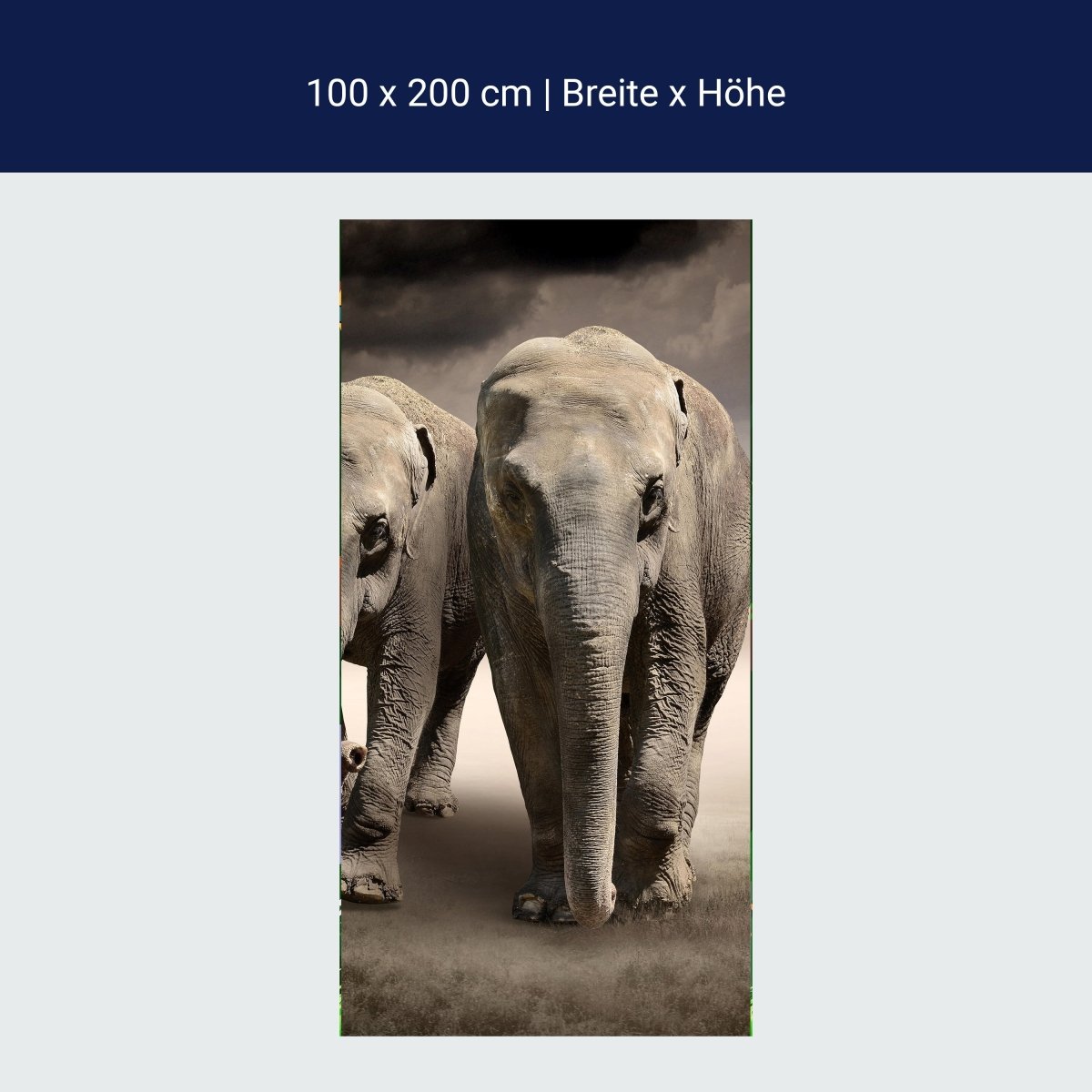 Türtapete Elefantentraum Afrika M0244