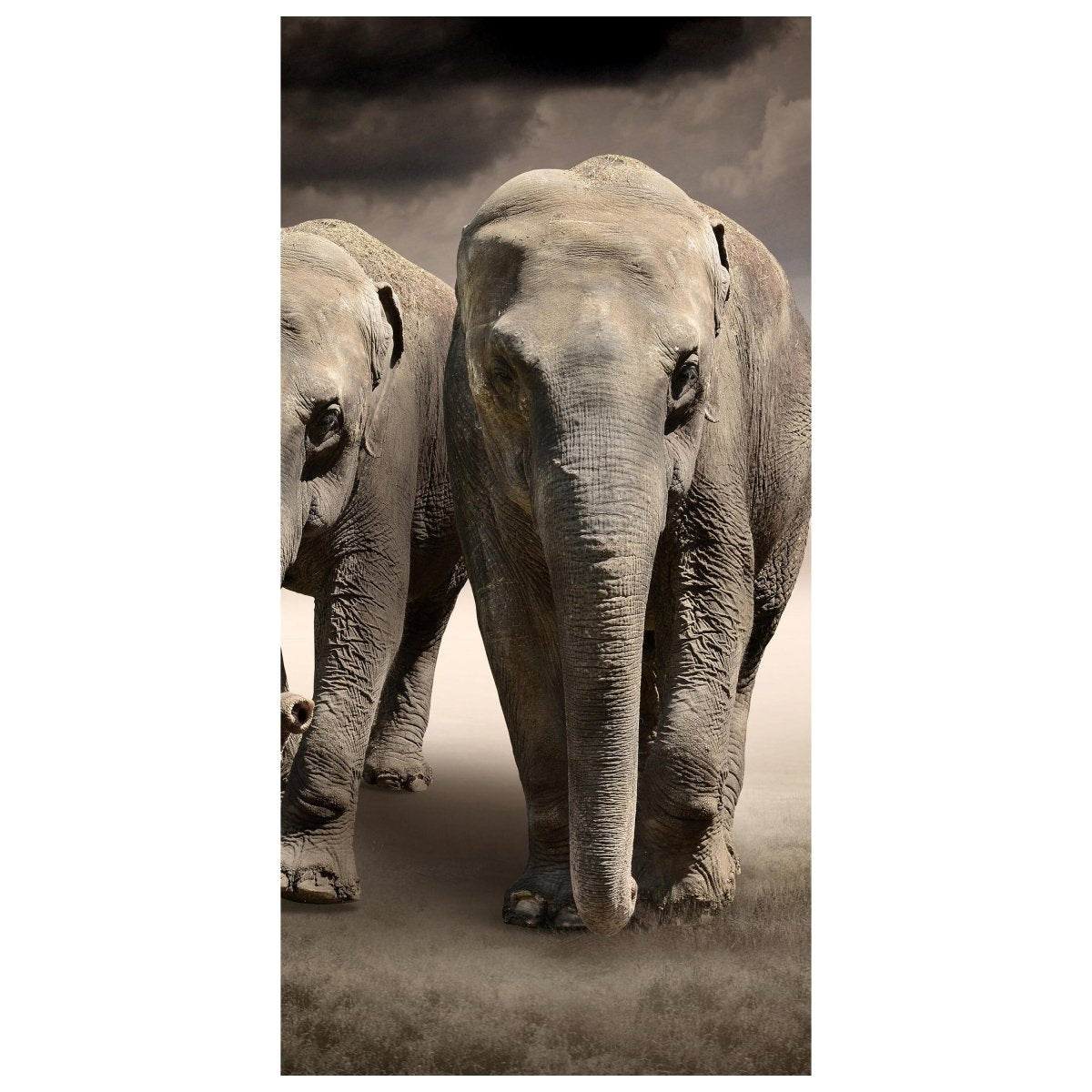 Türtapete Elefantentraum Afrika M0244 - Bild 2