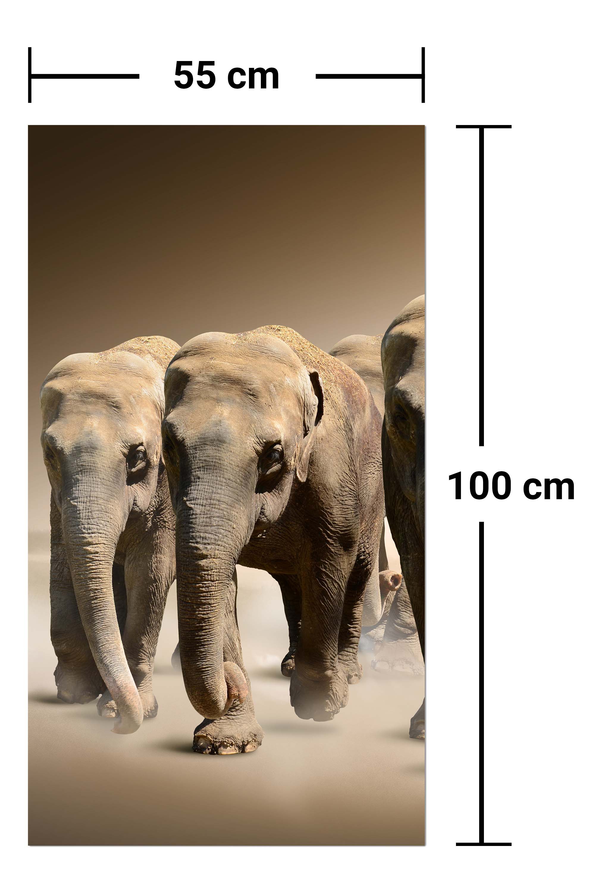 Garderobe Elefantengruppe Afrika M0245 entdecken - Bild 7