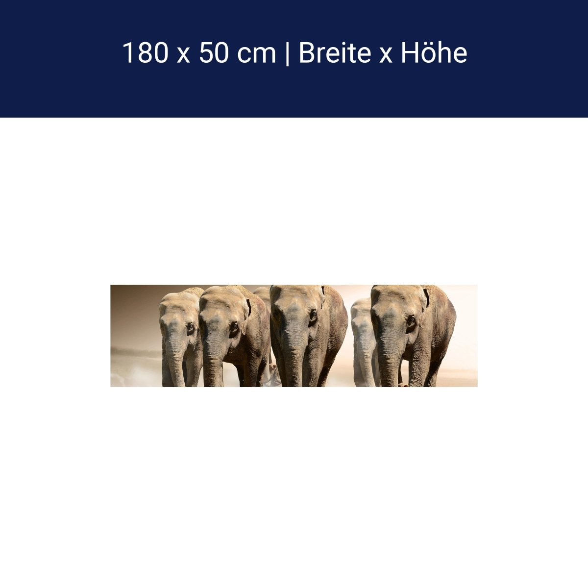 Küchenrückwand Elefantengruppe Afrika M0245