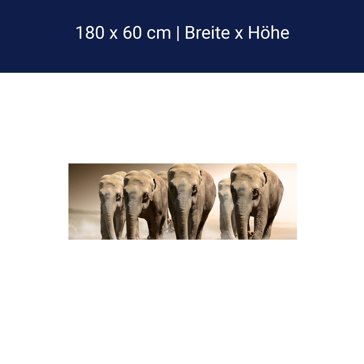 Crédence de cuisine Elephant groupe Africa M0245