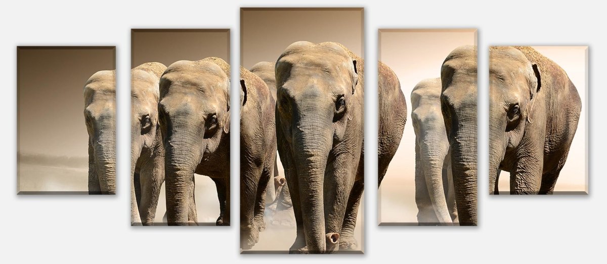 Leinwandbild Mehrteiler Elefantengruppe Afrika M0245 entdecken - Bild 1