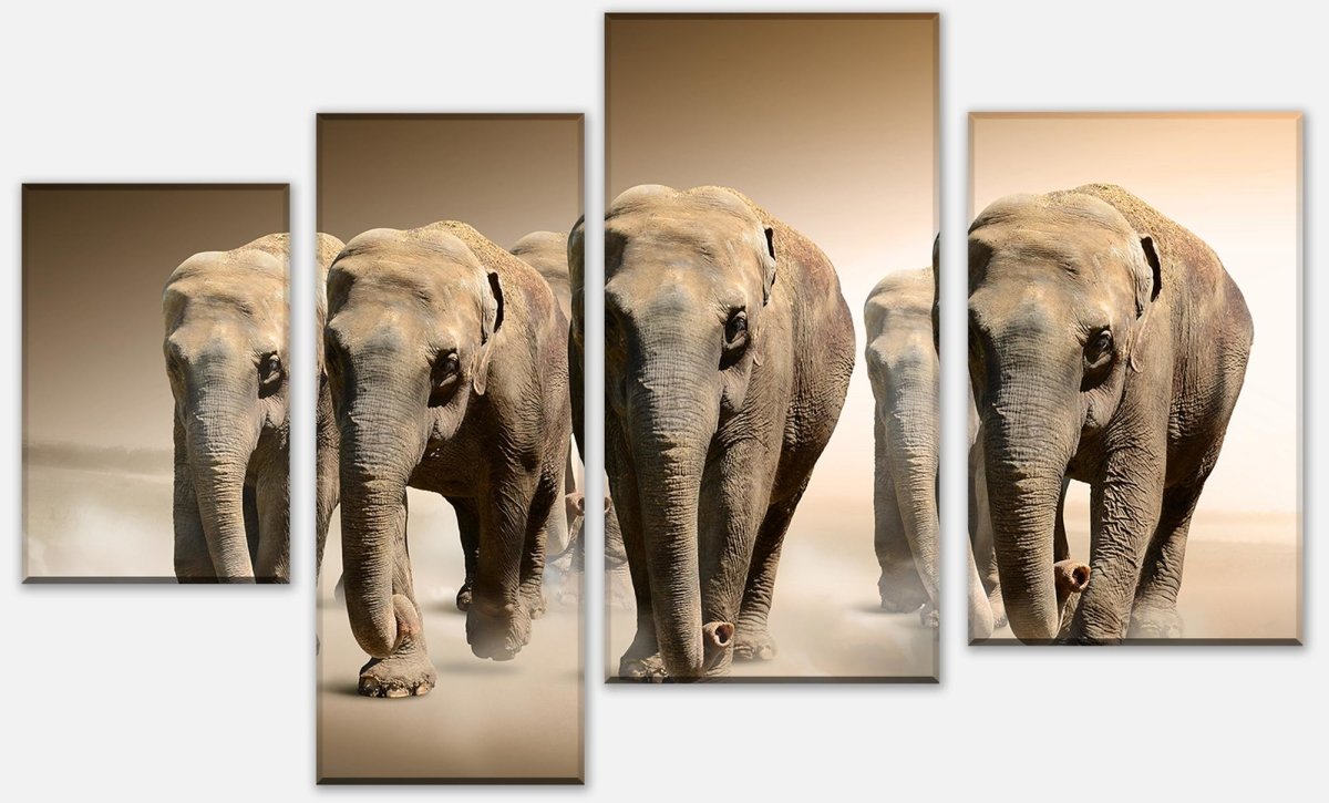 Leinwandbild Mehrteiler Elefantengruppe Afrika M0245