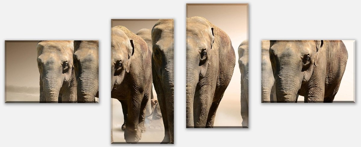 Leinwandbild Mehrteiler Elefantengruppe Afrika M0245