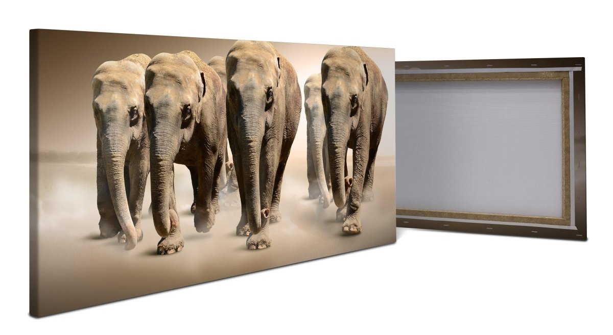 Leinwandbild Elefantengruppe Afrika M0245 - Bild 1
