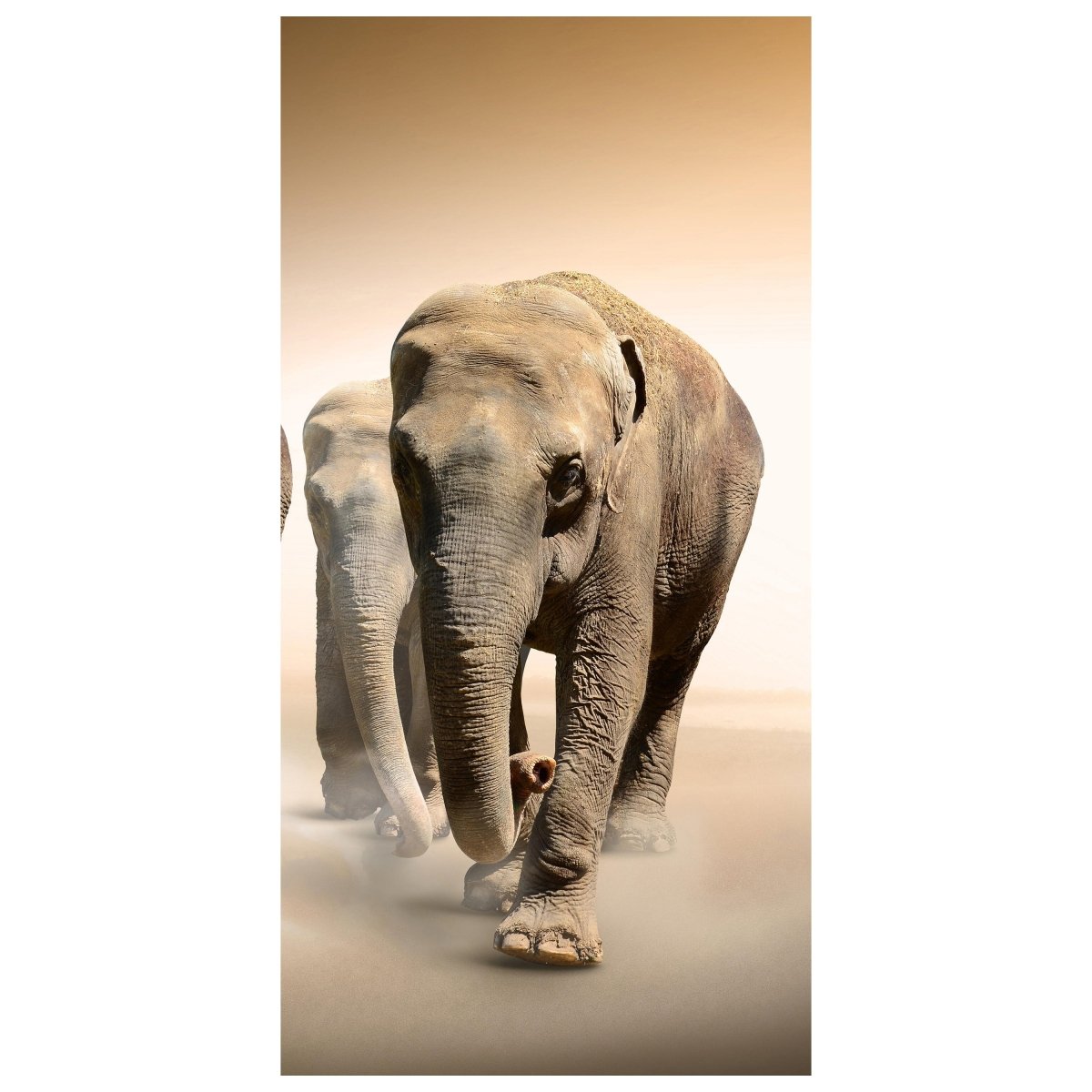 Türtapete Elefantengruppe Afrika M0245 - Bild 2
