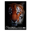 Tableau sur toile Animaux, format portrait, tigre & traits de caractère M0253