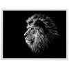 Poster Löwe, Tier, Augen M0279