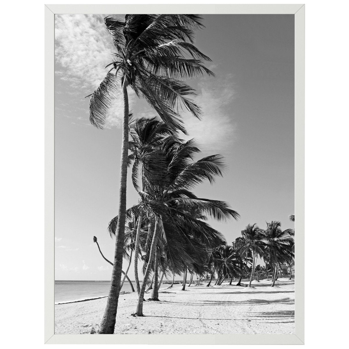 wandmotiv24 Poster, Poster - Palmen, Strand, Wasser - M0280 - Bild 1