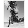 Poster Palmen, Strand, Wasser M0280