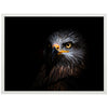 Affiche tête d'oiseau aigle M0283