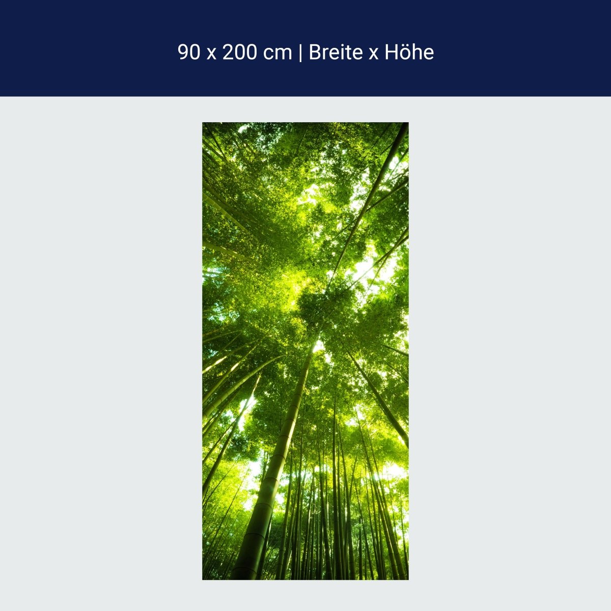 Duschwand Bambus Wald M0338