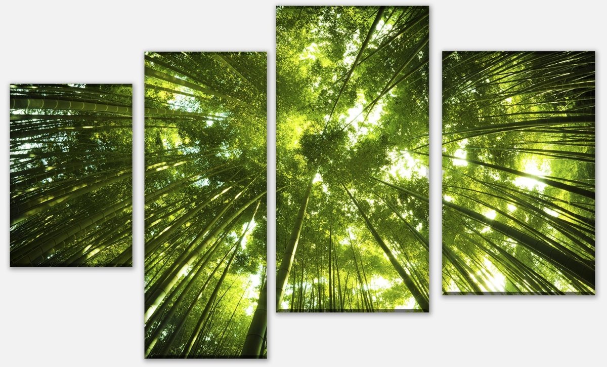 Leinwandbild Mehrteiler Bambus Wald M0338