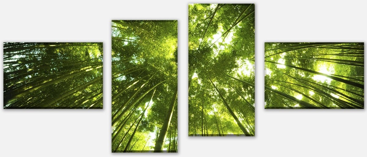 Leinwandbild Mehrteiler Bambus Wald M0338