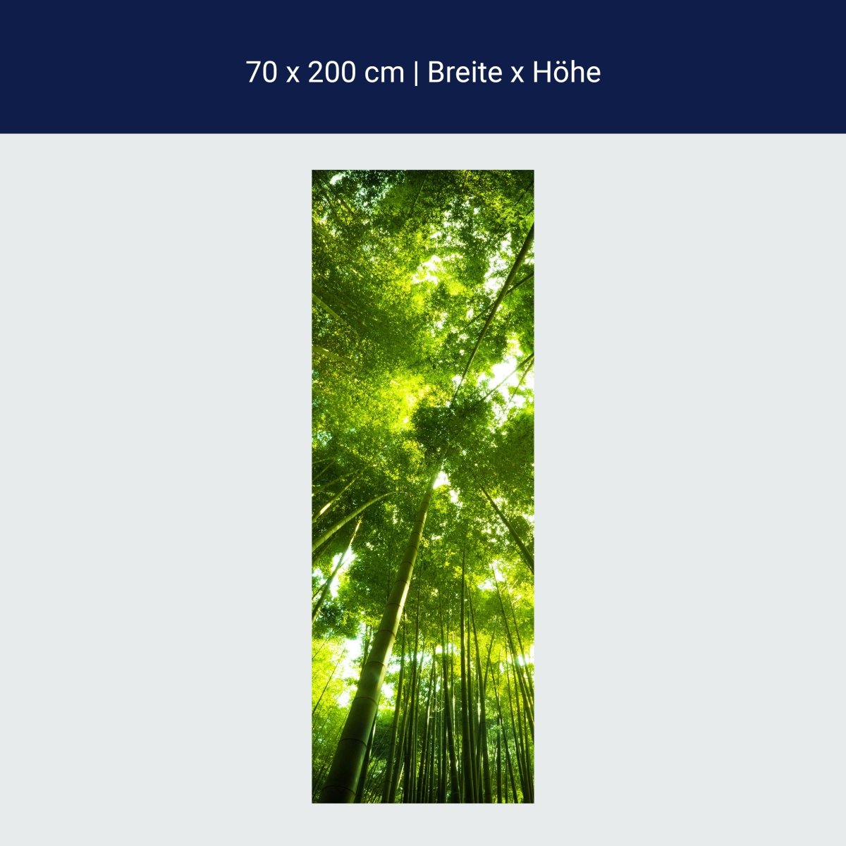 Türtapete Bambus Wald M0338
