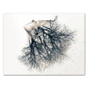 Leinwandbild Kunst, Querformat, double exposure Frau & Baum 2 M0342