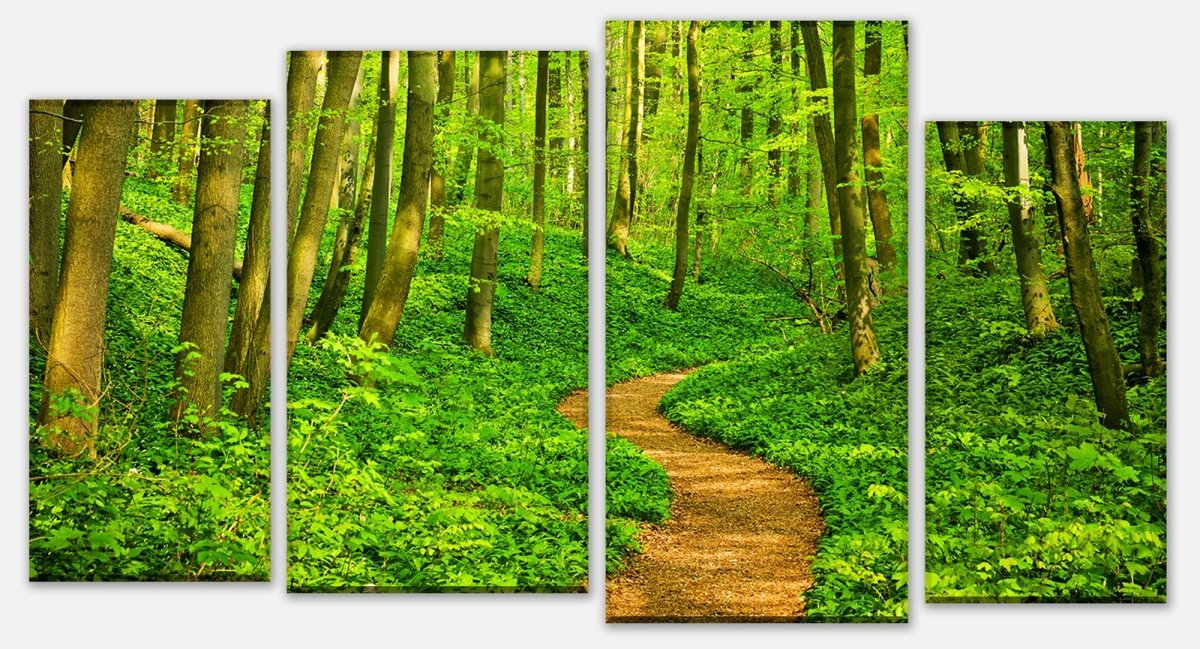 Canvas print Divider forest path M0345