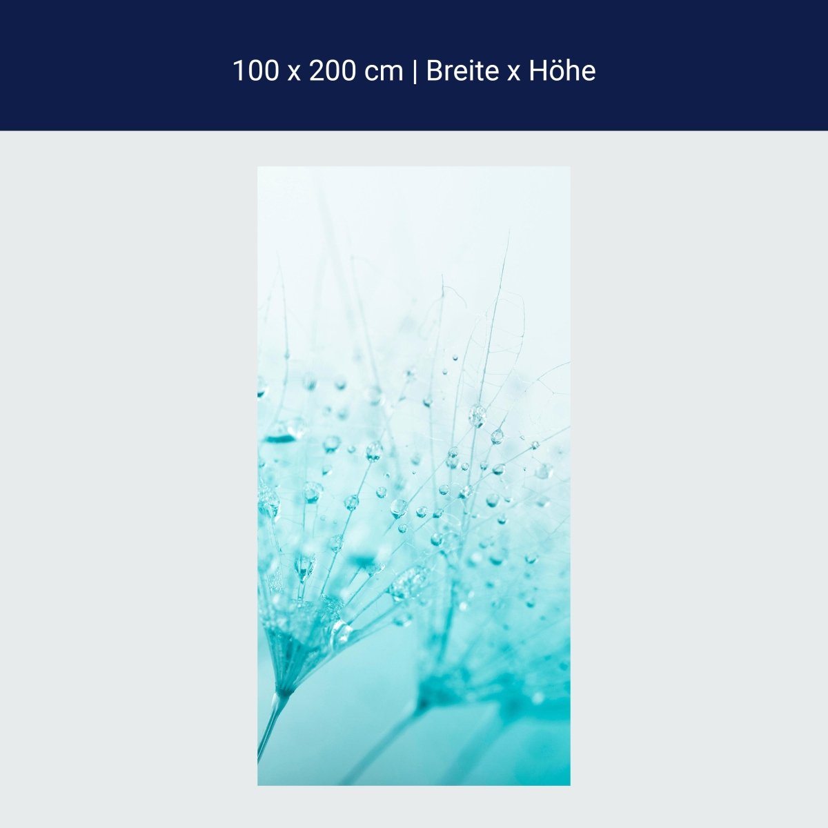 Shower screen dandelion turquoise M0347