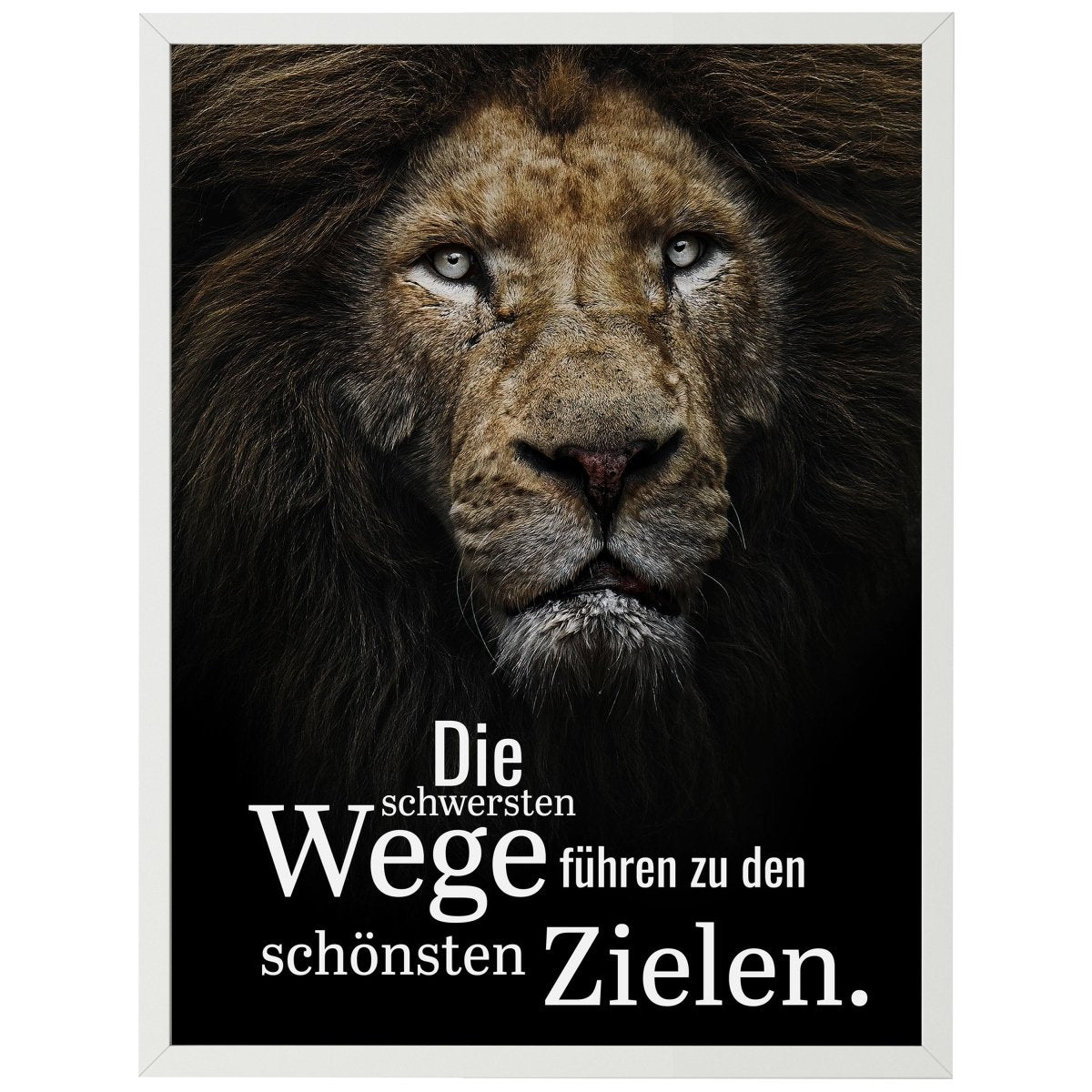 wandmotiv24 Poster, Poster - Motivation, Spruch, Löwe - M0349 - Bild 1