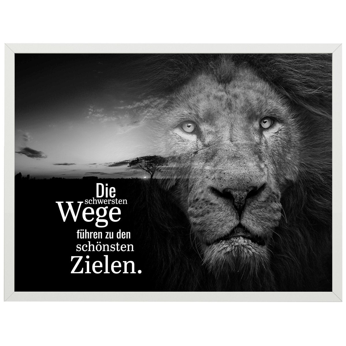 wandmotiv24 Poster, Poster - Motivation, Spruch, Löwe - M0351 - Bild 1