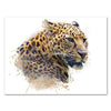 Tableau sur toile Animaux paysage léopard prédateur chat M0363